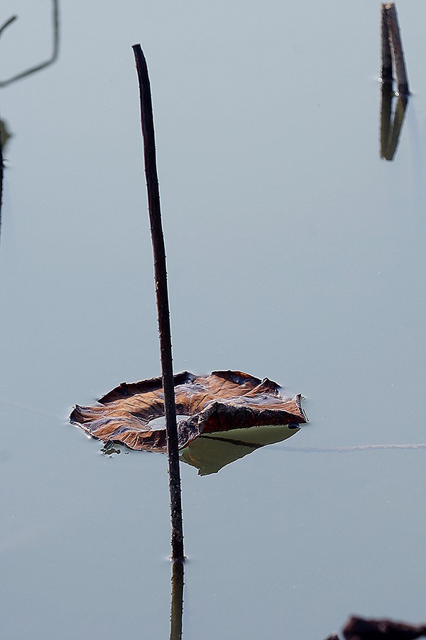 DSC05787改压.jpg