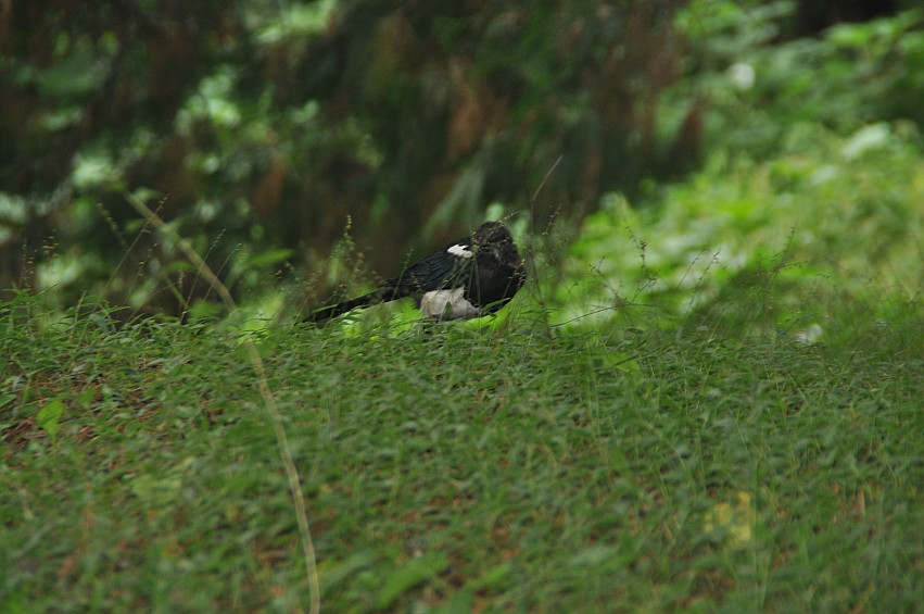 DSC_0067_conew1.jpg