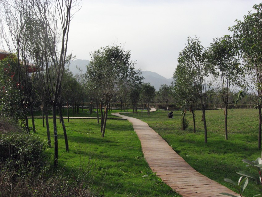 IMG_2170_conew1.jpg