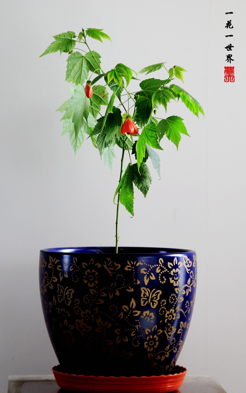5D3A2318_副本.jpg