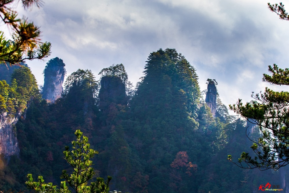 光雾山--山 (1).jpg