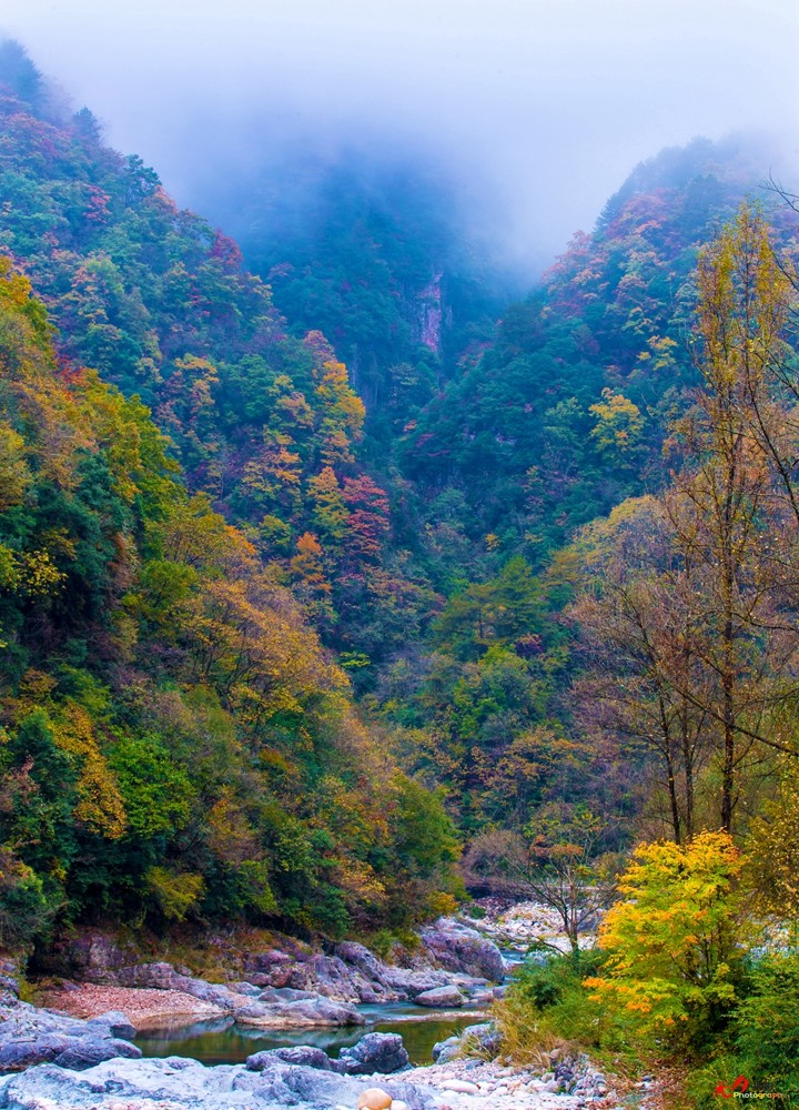 光雾山-山 (2).jpg