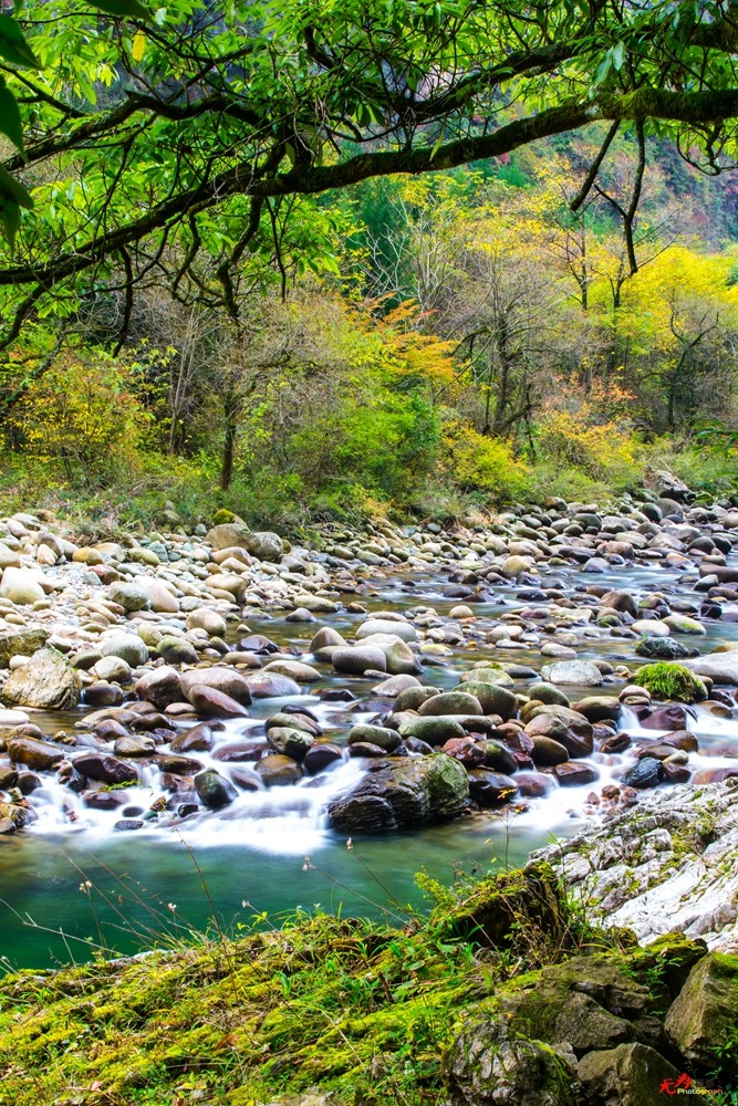 光雾山-水 (25).jpg