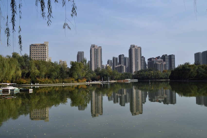 DSC_0051_conew1.jpg
