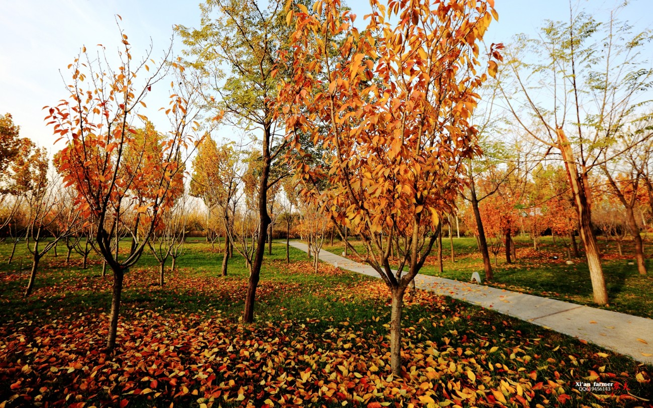 5D3A2411_副本.jpg