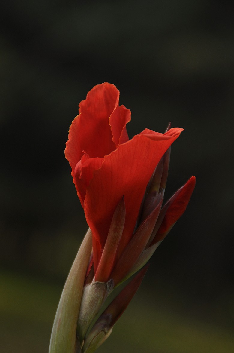 DSC_0003_conew1.jpg