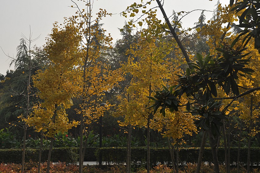 DSC_0007_conew1.jpg