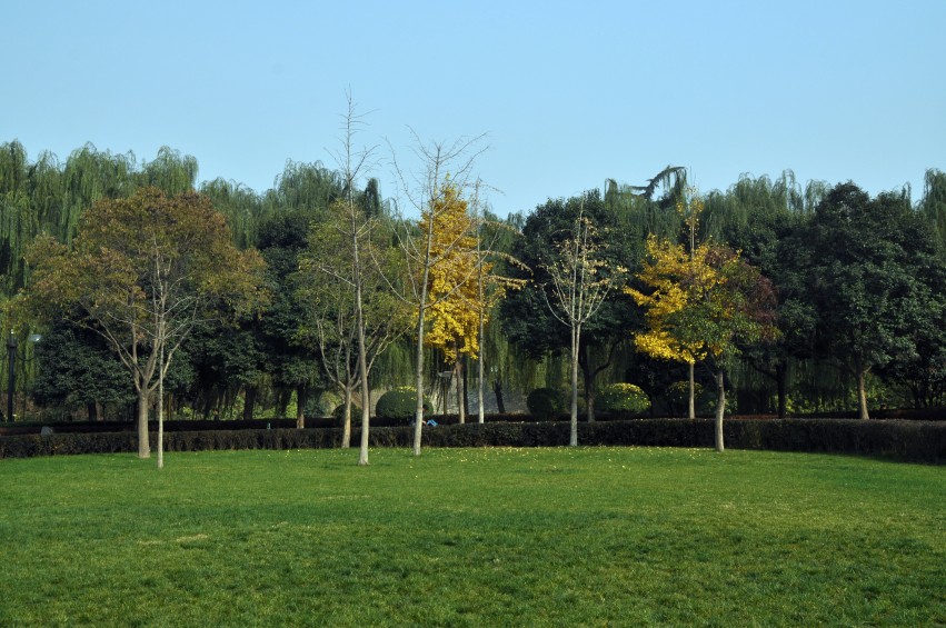 DSC_0031_conew1.jpg