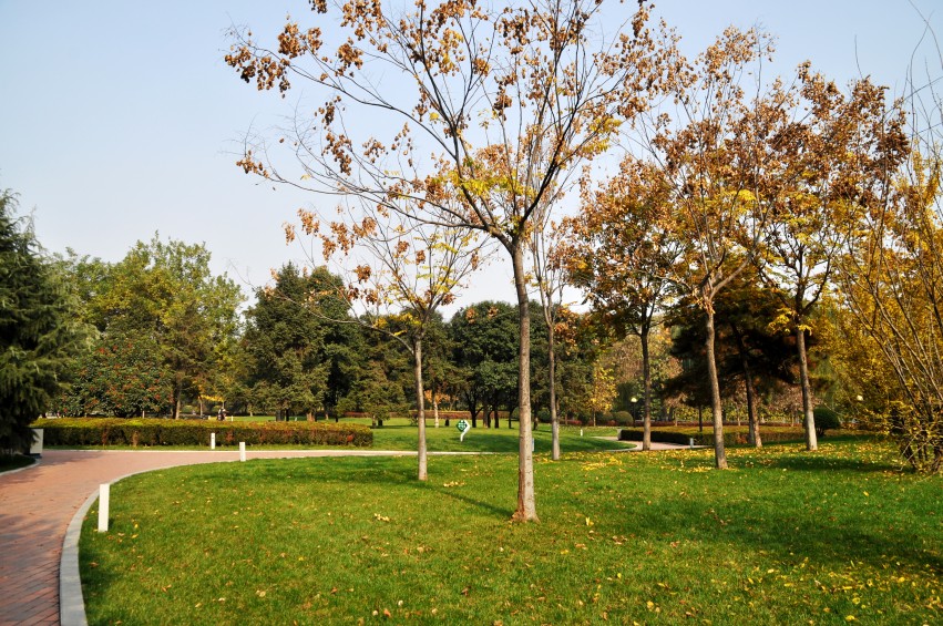 DSC_0033_conew1.jpg