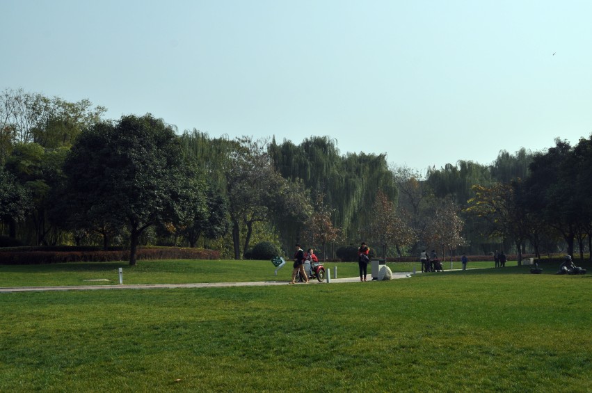 DSC_0032_conew1.jpg