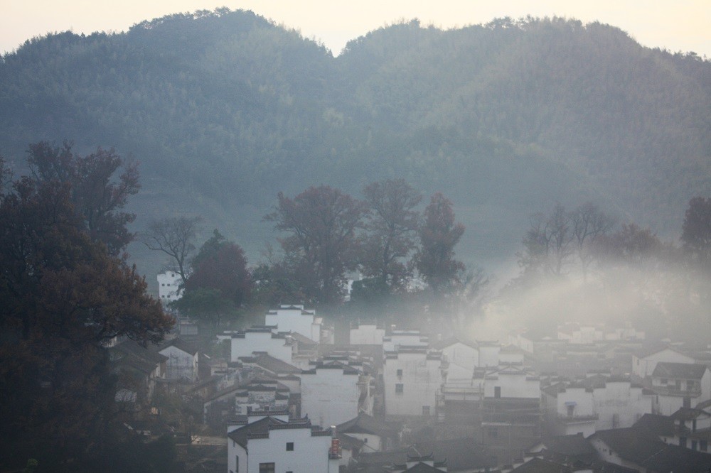 IMG_2948-编辑 拷贝.jpg