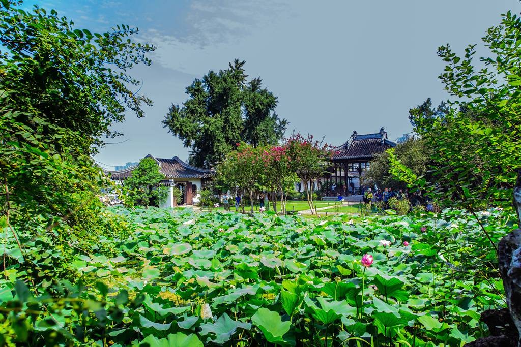 莫愁湖风光06.jpg