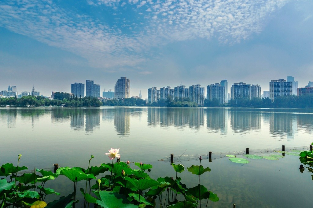 莫愁湖风光14.jpg