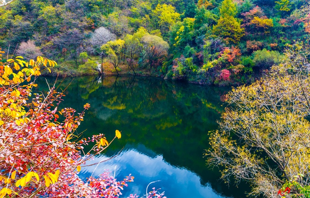 秋日翠华山 (4).jpg
