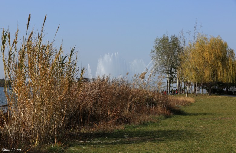 DO2A6710_conew1.jpg