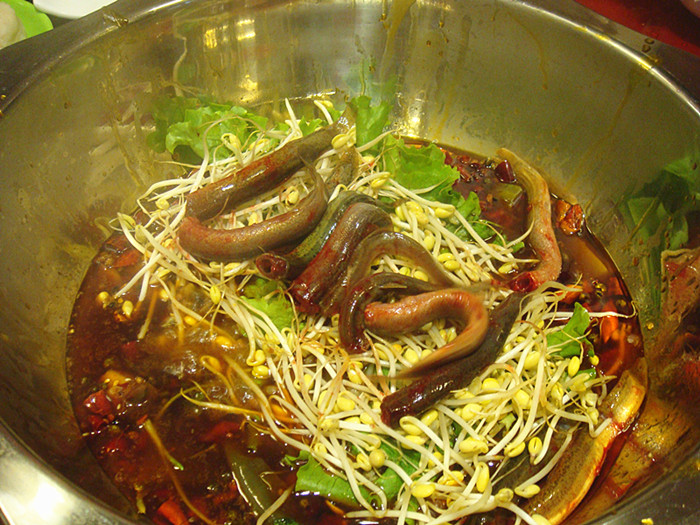 DSC07179_副本.jpg