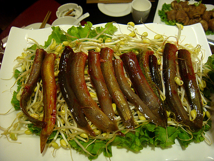 DSC07153_副本.jpg