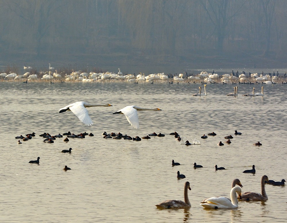 DSC_8250.JPG