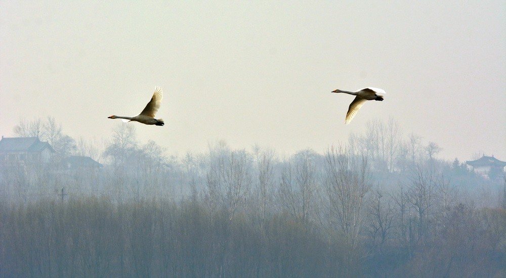 DSC_8335.JPG