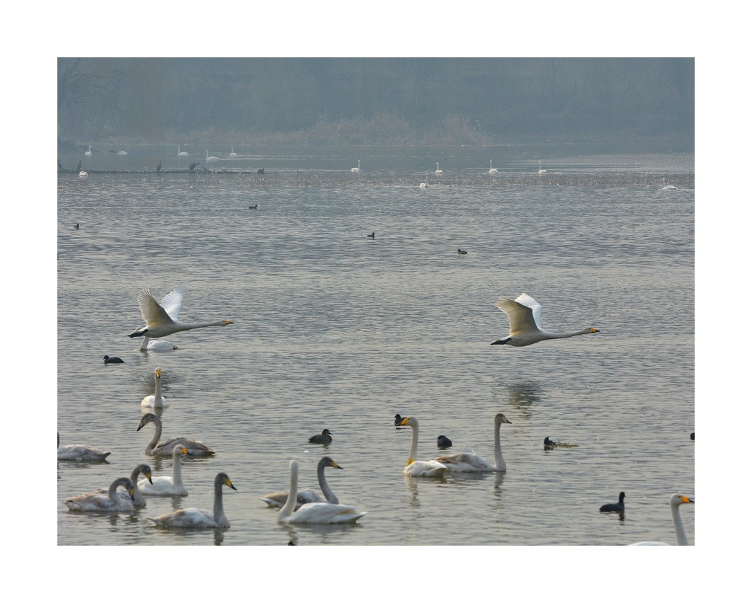 DSC_8937.JPG