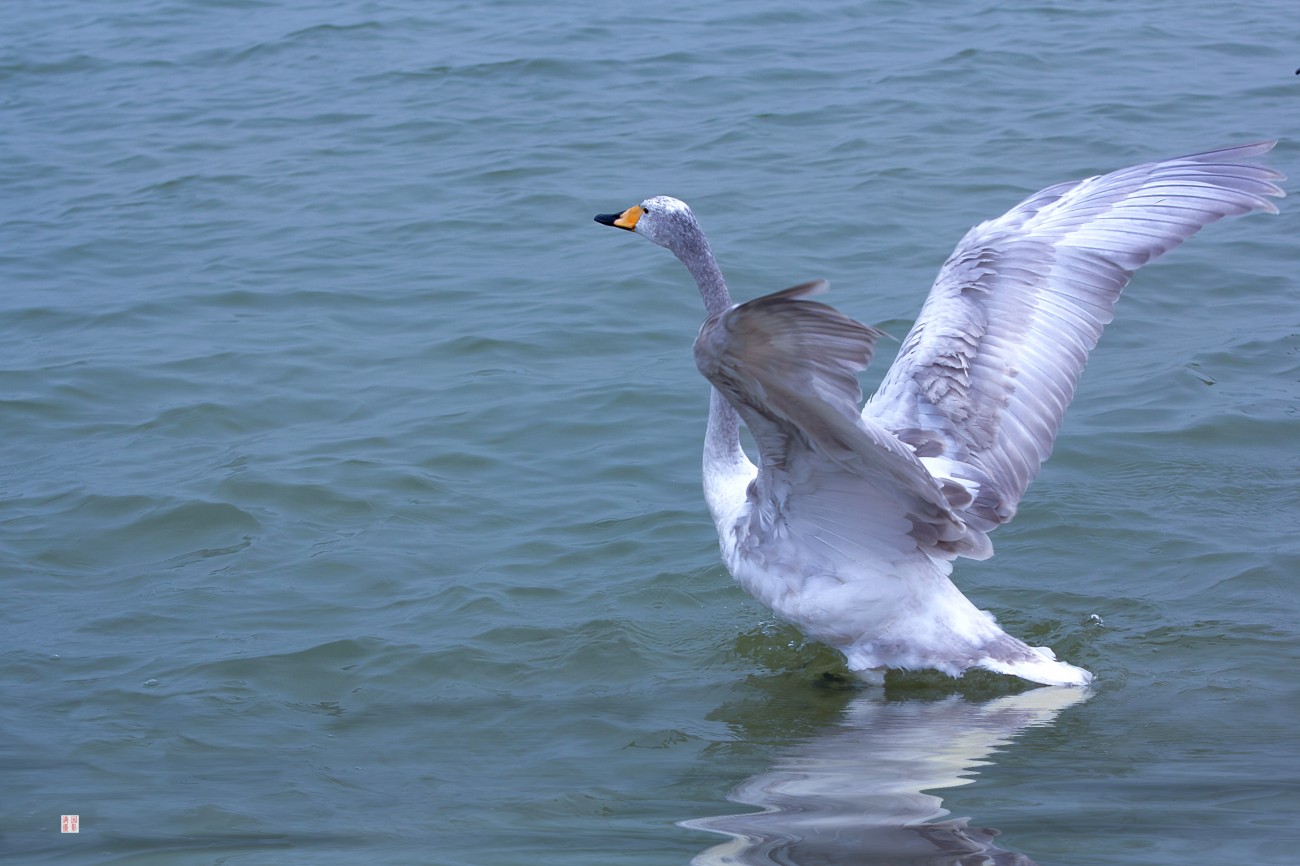 IMG_3140.jpg