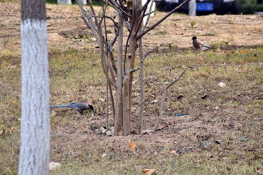 DSC_0009_conew1.jpg