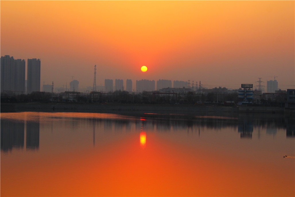 IMG_8882.JPG