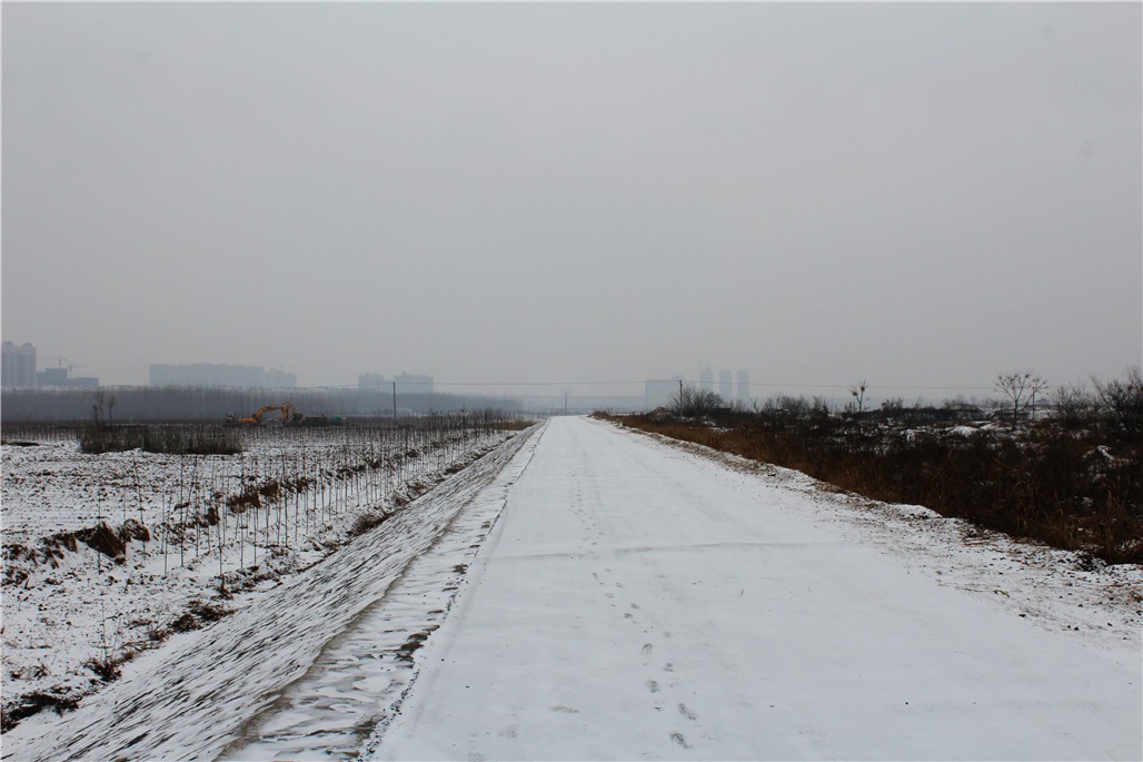 IMG_9907.JPG