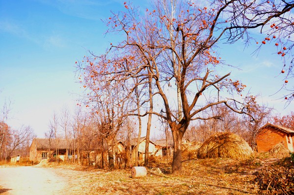 08.jpg
