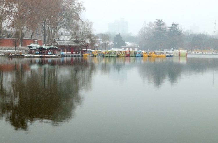DPP_0021.JPG