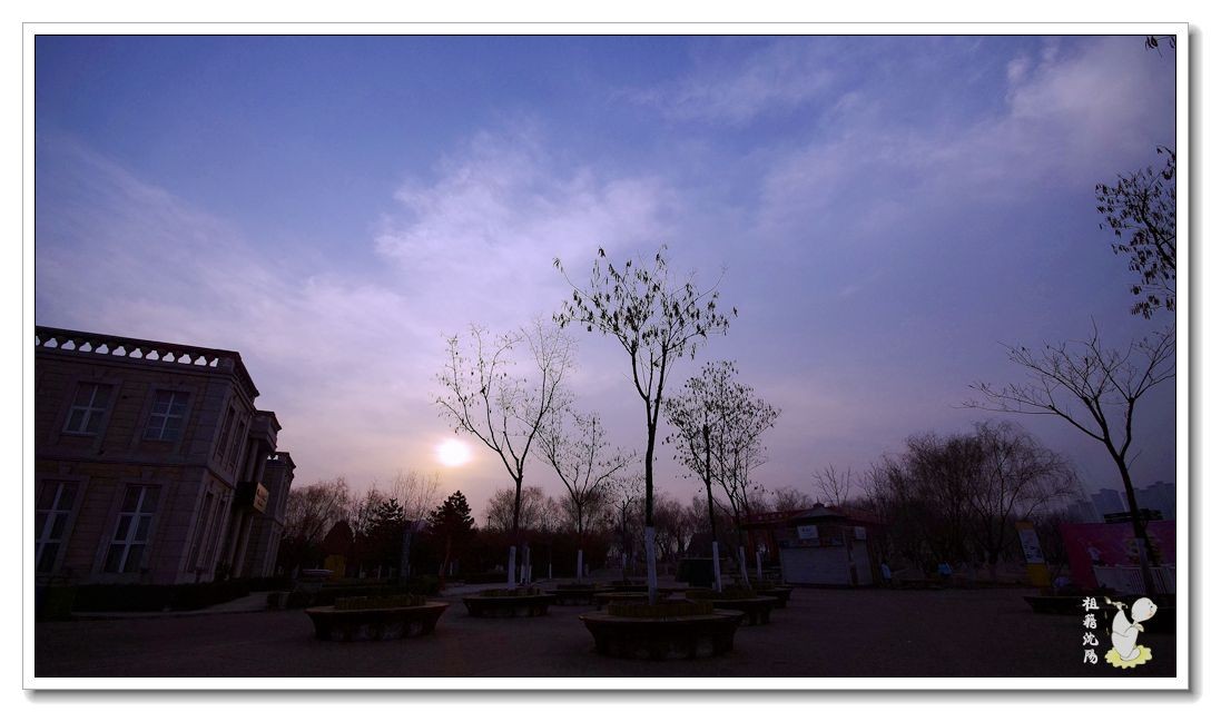 IMGP9795.jpg