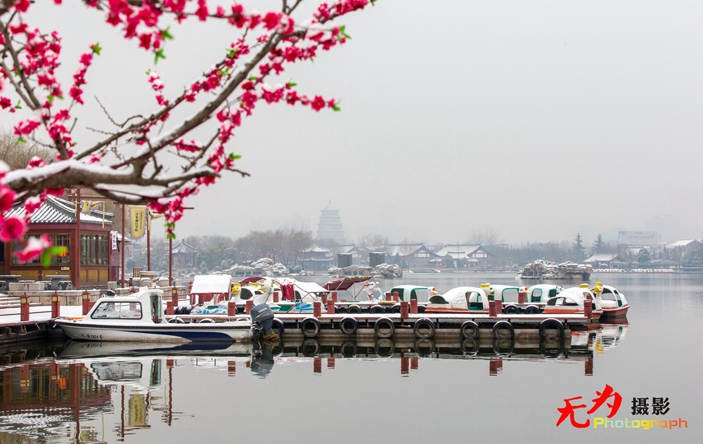 2015年西安第一场雪 (39).jpg