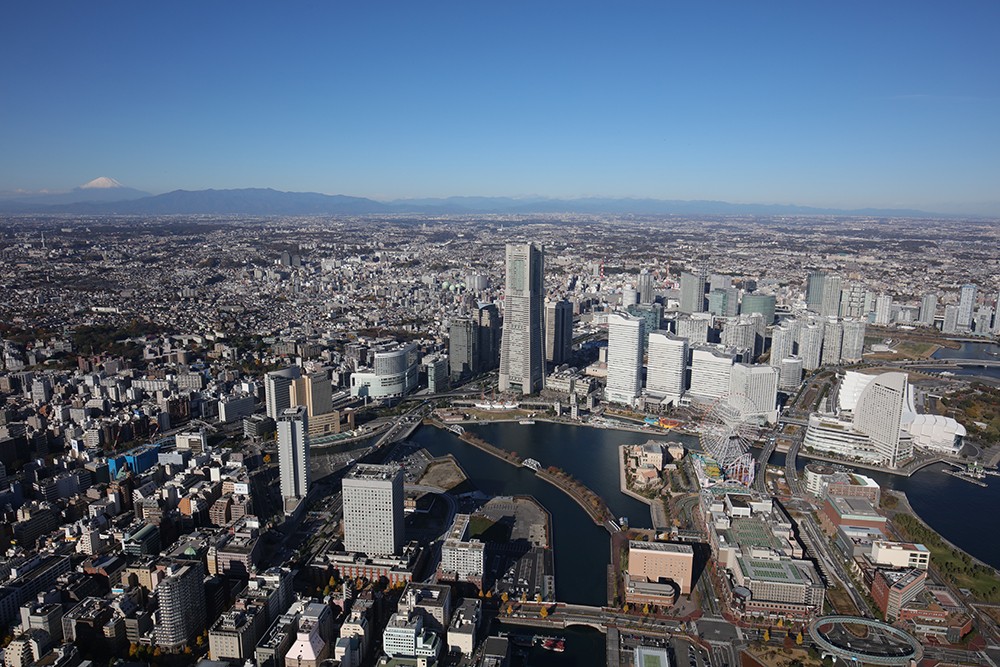 06.jpg