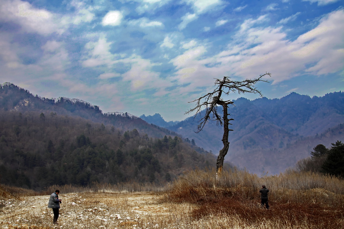 _MG_6368.JPG