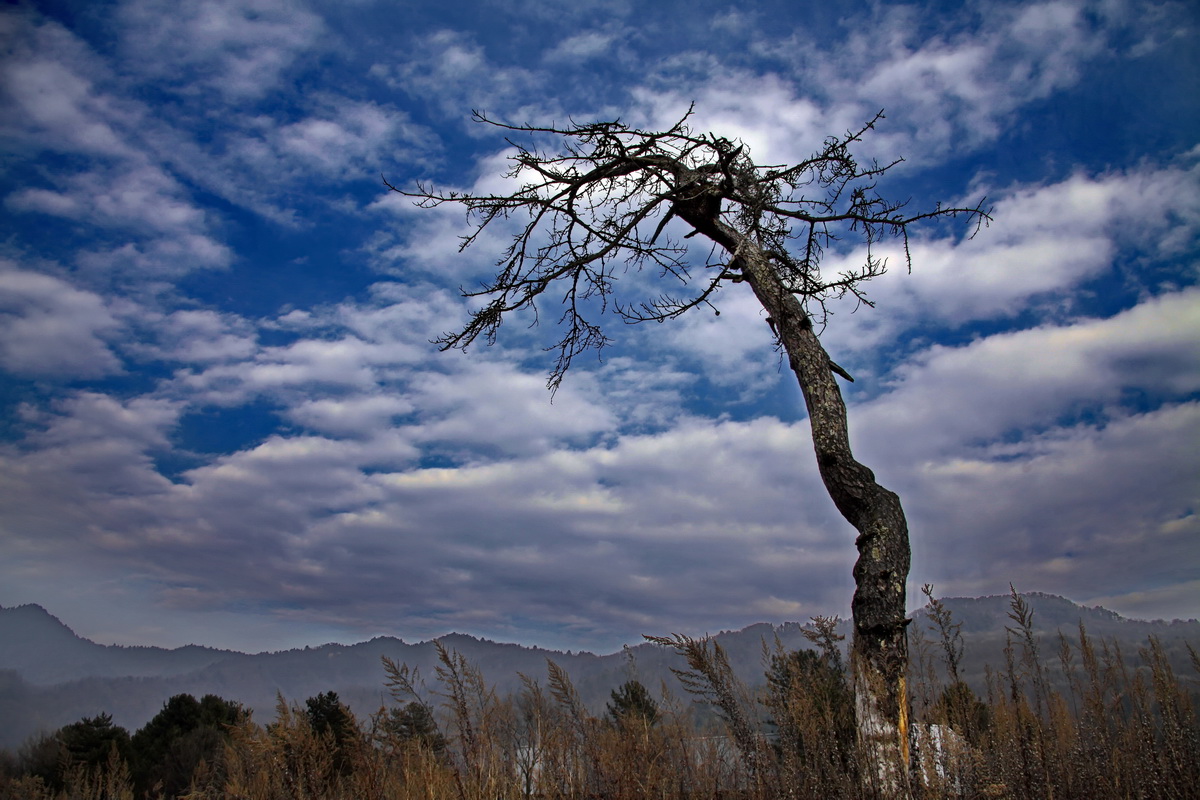 _MG_6376.JPG