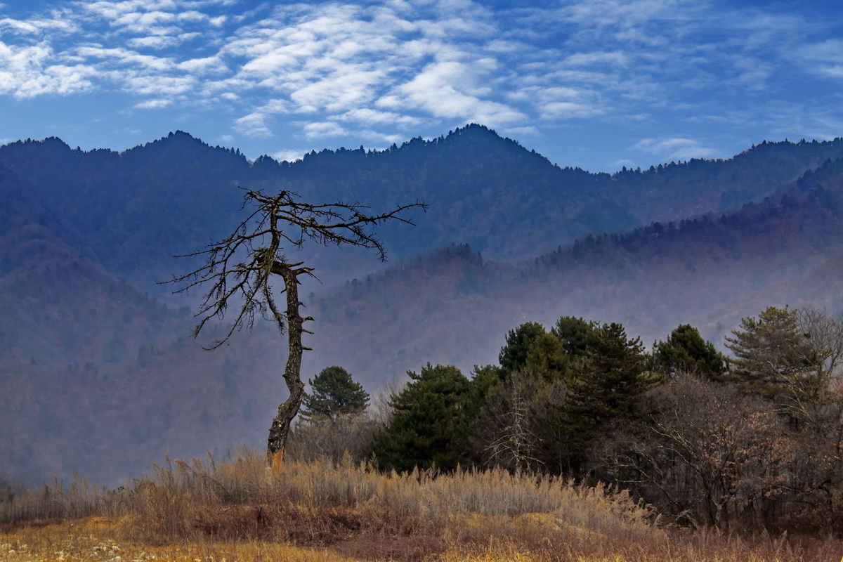 _MG_6387.JPG
