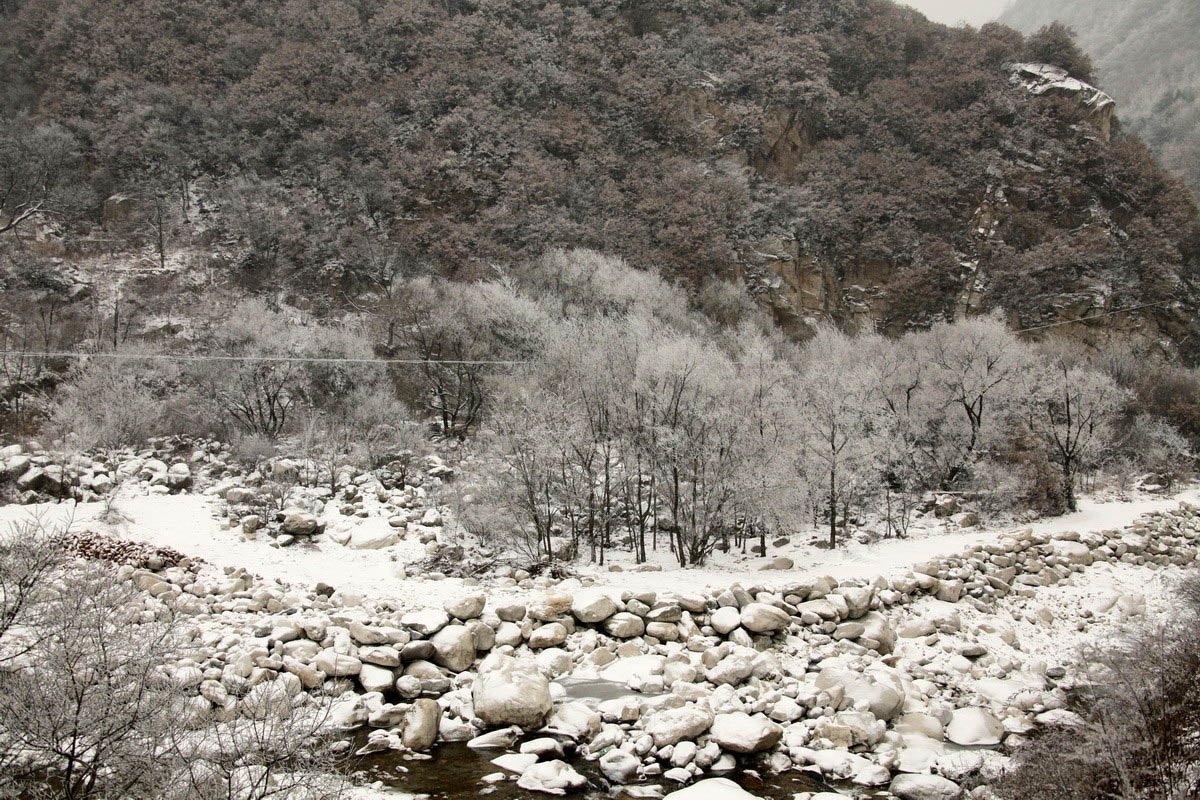 _MG_6025.JPG