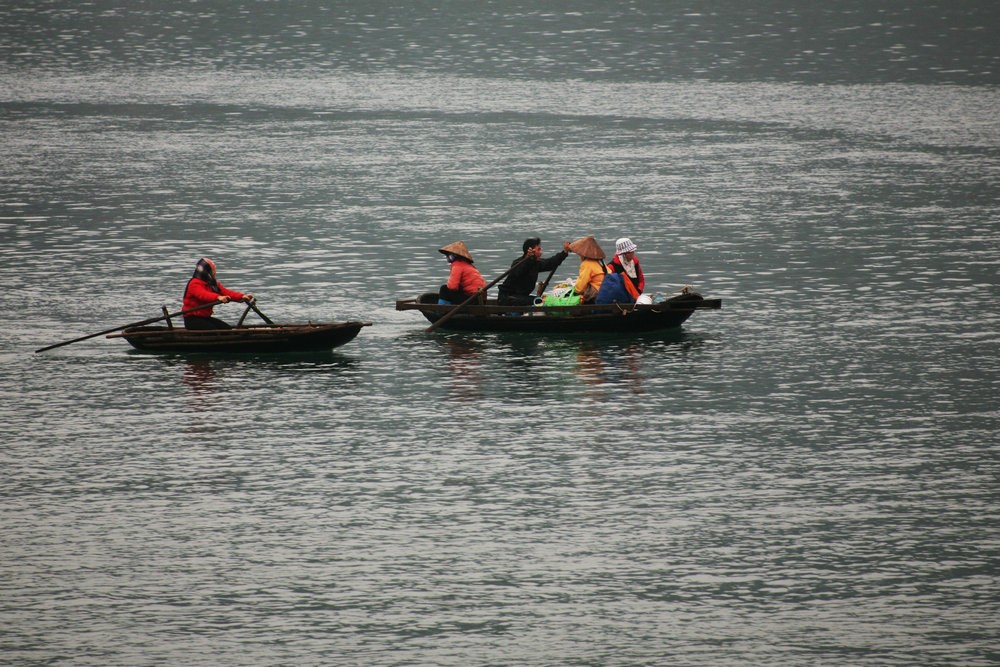 IMG_1870.jpg