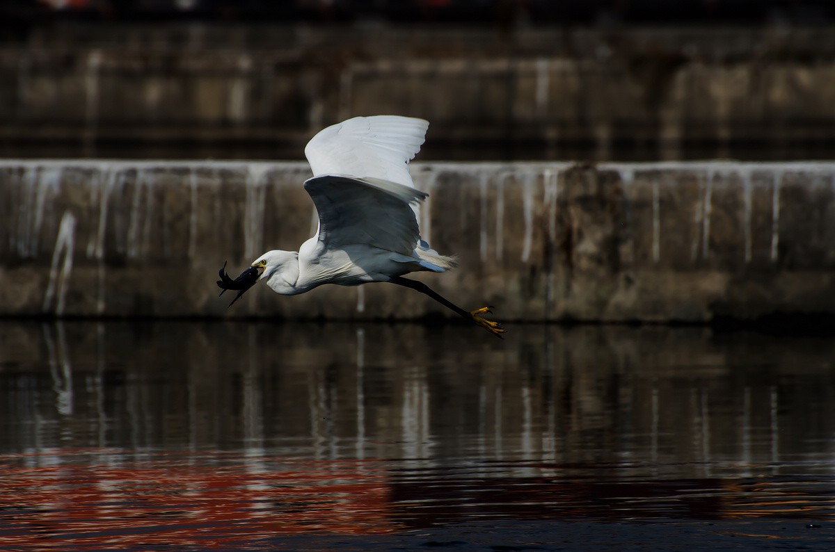 nEO_IMG_DSC_2159.jpg