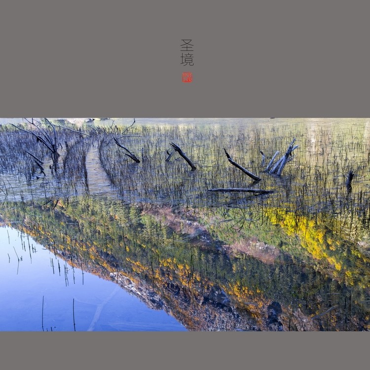 5650582020141029093839092_640.jpg