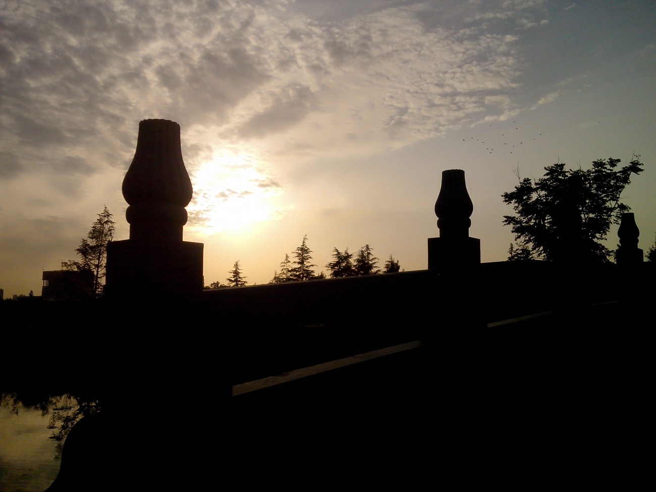 IMG20141004037.jpg