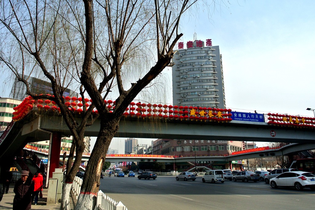 DSC_4803副本.jpg