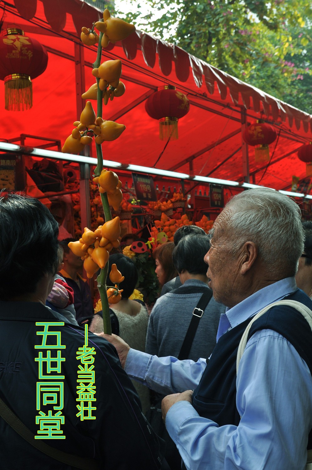 花市 (7)_副本.jpg