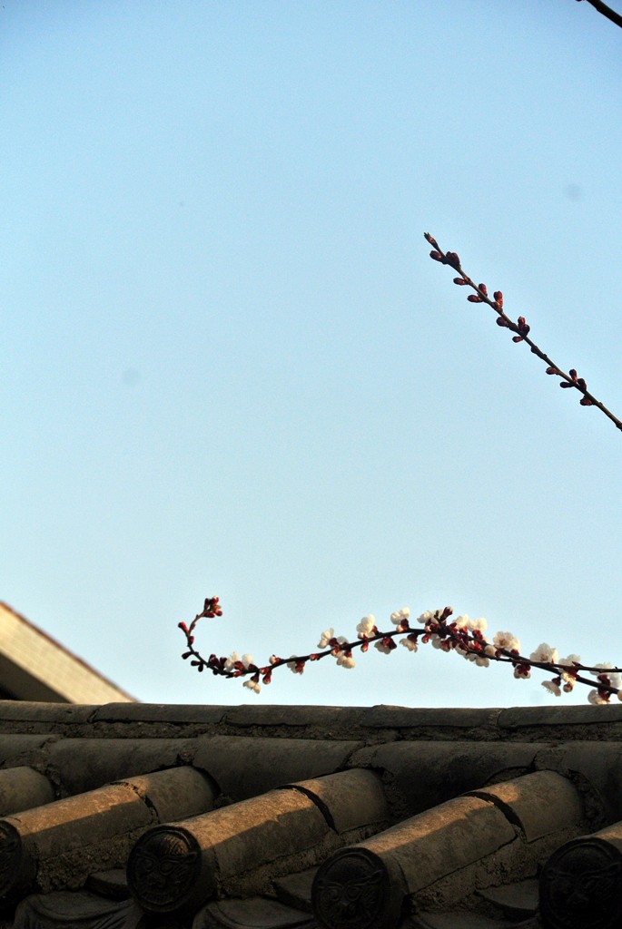 DSC_4908.JPG