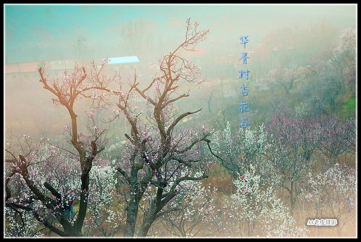 DSC_3275_副本.jpg