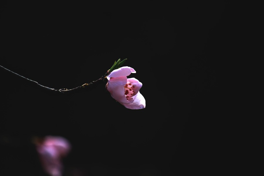 _0166.jpg