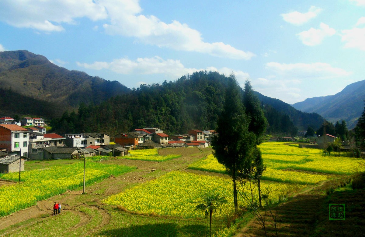 SDC13270.JPG