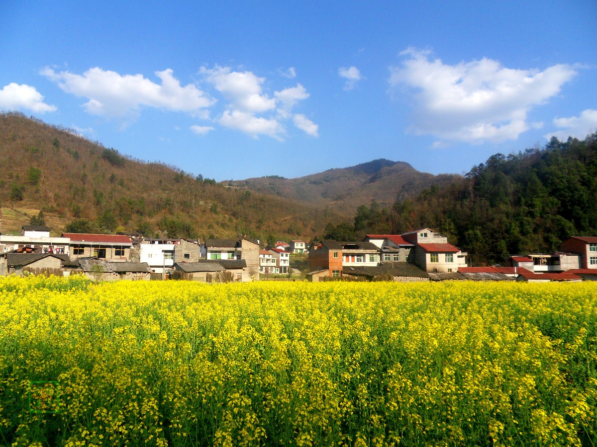 SDC13384_副本.JPG