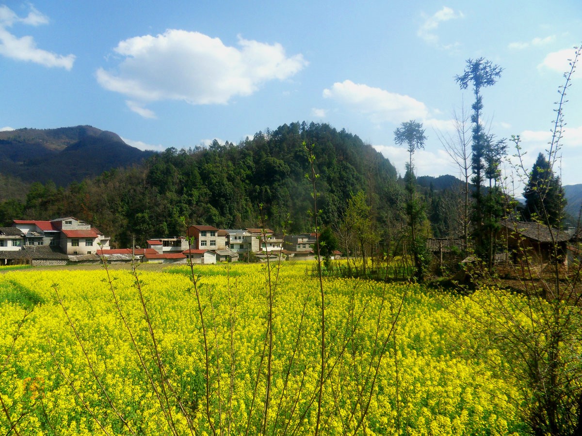 SDC13265_副本.JPG