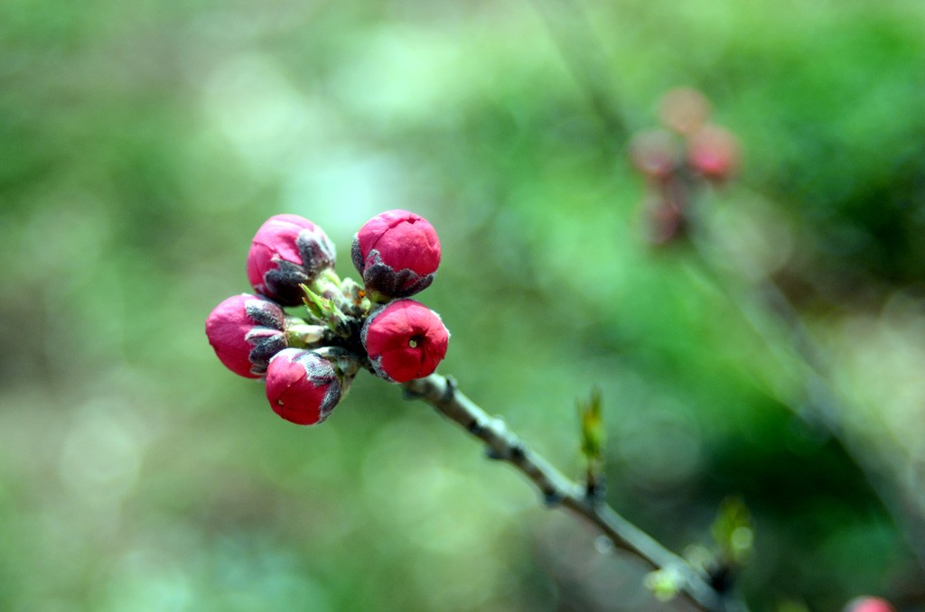 DSC_9179副本.jpg